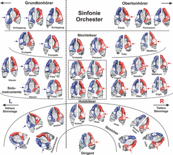 Oberton- und Grundtonhörer haben eine Sitzordnung im Orchester